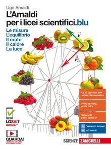 AMALDI LICEI SCIENTIFICI BLU UNICO