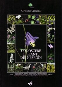 ALIMENTAZIONE SALA E VENDITA B