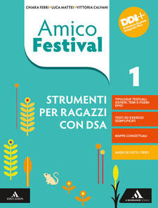 AMICO FESTIVAL DSA 1