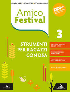 AMICO FESTIVAL DSA 3
