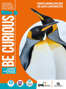 BE CURIOUS UNITA SEMPLIFICATE