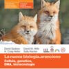 NUOVA BIOLOGIA ARANCIONE CELLULA/BIOTEC NUOVA BIOLOGIA ARANCIONE CELLULA/BIOTEC